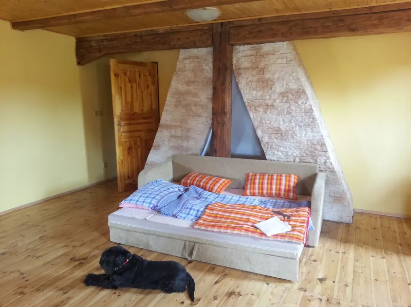 Podkrovní pokoj s trámy, rozkládací postelí a dřevěnou podlahou