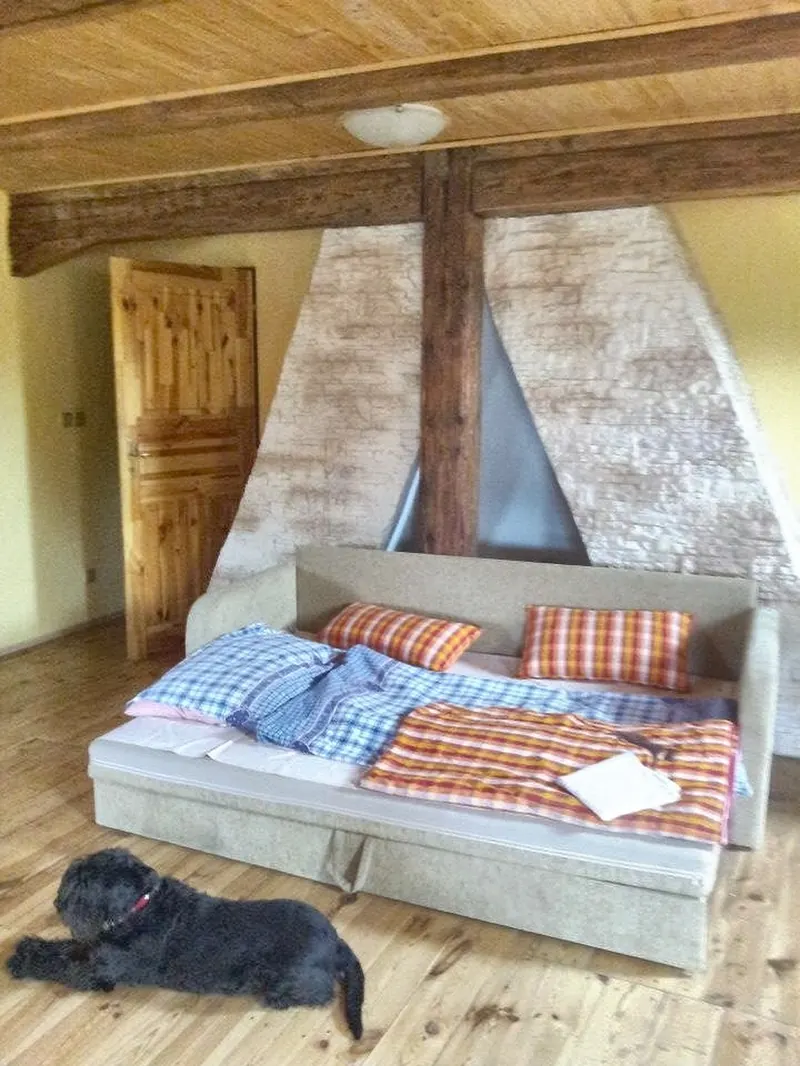 Podkrovní pokoj s dřevěnými trámy a rozkládací postelí